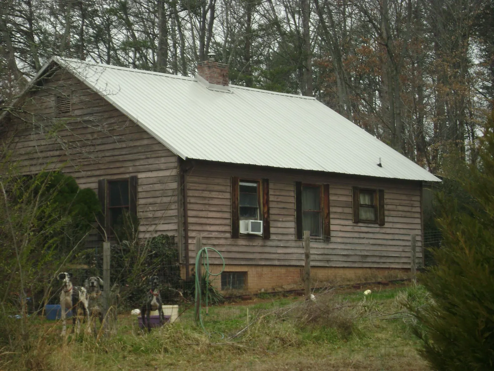 White metal roof on an old wood sided farmhouse, from a Asphalt Shingle Roof Repair job in Woodmere